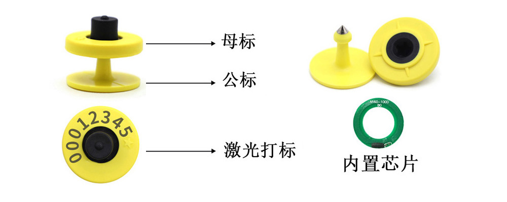 免费资料库大全